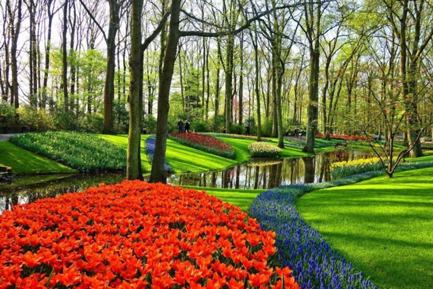 From Rotterdam: Private Keukenhof & Windmills Tour