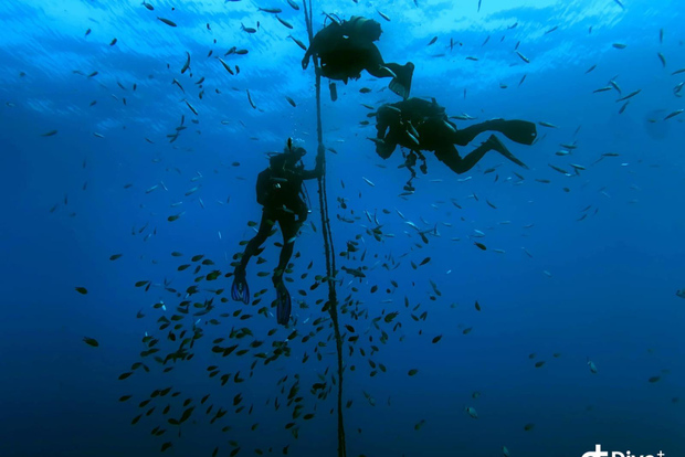 Пенише: 2 погружения с гидом в биосферном заповеднике Берленга