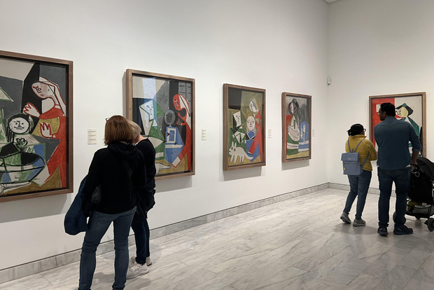 Museo Picasso e tour a piedi con degustazione di vini