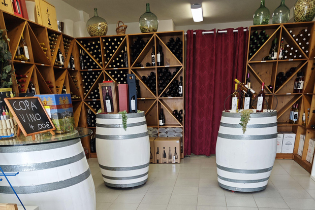 Son Cavaller - Tasting wines from Mallorca - Wine shop Cala Mandia