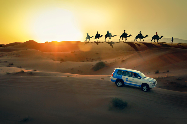 Doha: safari al tramonto nel deserto, ATV, giro in cammello e sandboarding