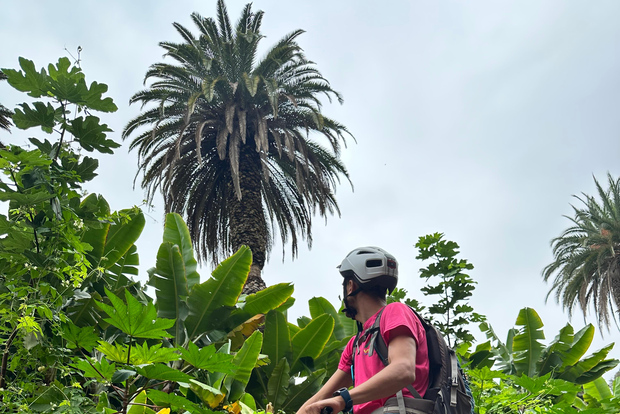 Las Palmas de Gran Canaria: tour in mountain bike con guida locale