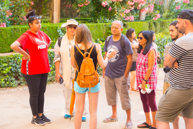 Granada: Tour guidato della città dell'Alhambra con i palazzi nazarì e city pass