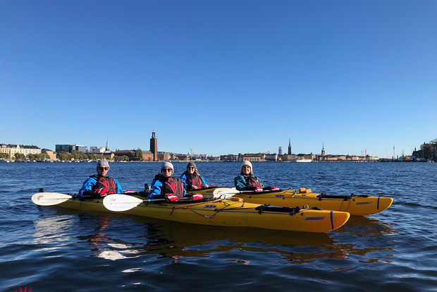 Stockholm: Vinterstadspaddlingstur