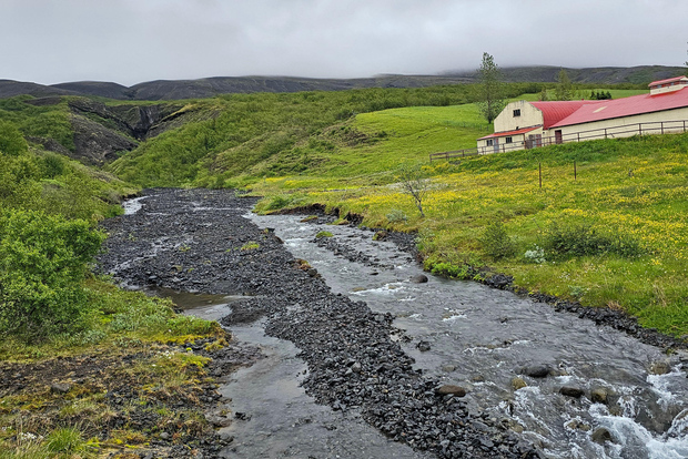 Islanda Reykjavik: Tour privato del Circolo d'Oro