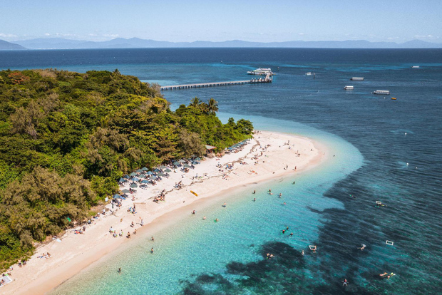Cairns: Full-Day Glass Bottom Boat or Snorkel Tour