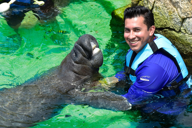 Cancún: Encuentro con Manatíes en Isla Mujeres con Comida Buffet