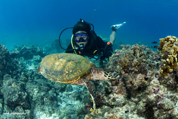 MUSKAT: Snorkling och provdykning på Daymaniyat Island + BBQ-lunch
