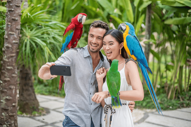 Parco degli uccelli di Bali: biglietto d'ingresso di 1 giorno