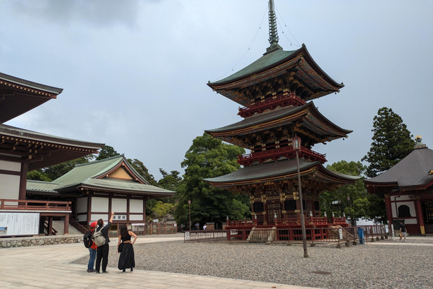 Desde el aeropuerto de Narita: escala privada o visita guiada en tránsito