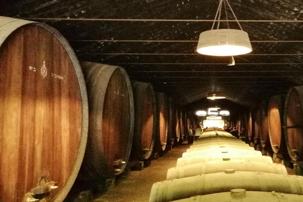 Private Halbtagestour: Weingut Arrabida und Fliesenfabrik