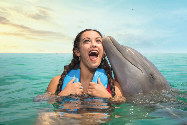 Puerto Aventuras: Dolphin Royal Swim y kayak con buffet