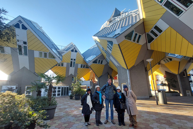 Delft e Rotterdam: tour privato con visita alle case cubiche e trasferimento