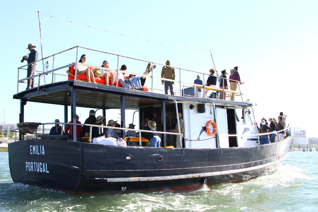 Secretos de la costa de Cascaes: crucero de 90 minutos con bebidas gratis