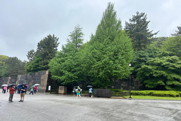 Tokyo: Palazzo Imperiale, Castello di Edo e tour storico