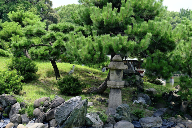 Tour di Tokyo: Palazzo Imperiale, sake, robot, giardini e museo