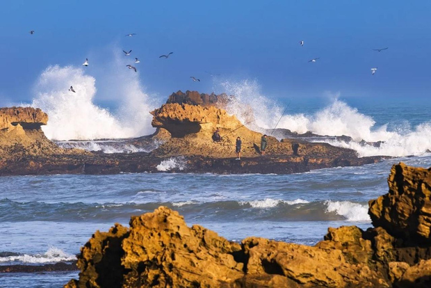 De Marraquexe a Essaouira Mogador Viagem de 1 dia em grupo pequeno