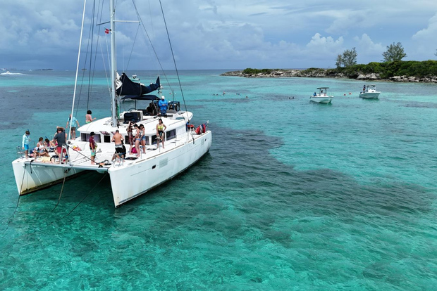 Nassau: snorkeling, Pig Beach, nuoto con le tartarughe e pranzo