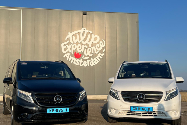 Lisse: Keukenhof & Tulip Experience with Private Transfer