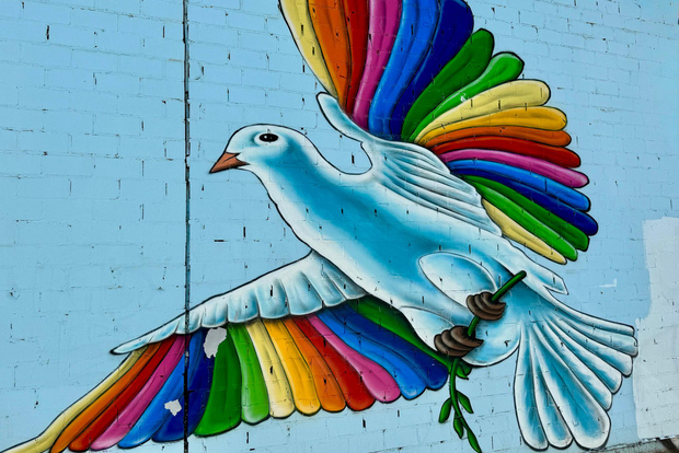 埃伦费尔德第二条街头艺术导览路线