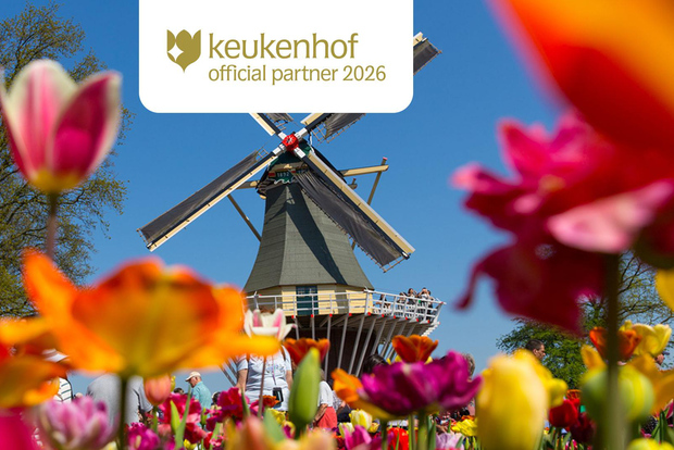 Da Amsterdam: gita di 1 giorno a Keukenhof e Zaanse Schans