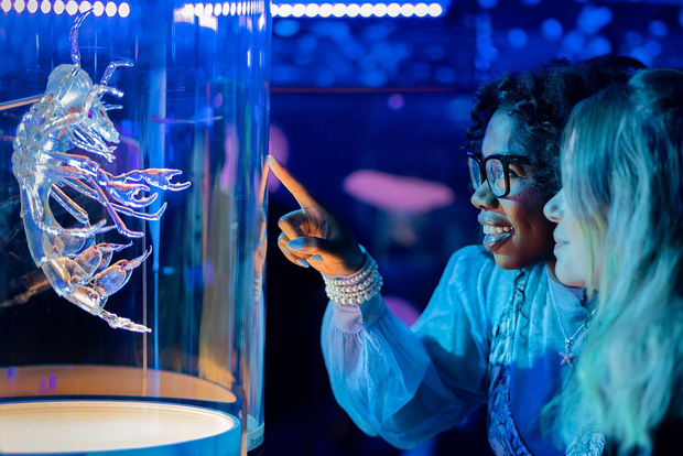 San Francisco: California Academy of Sciences Entry Ticket