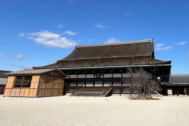 Kyoto: Tour del Palazzo Imperiale di Kyoto e del Castello Nijo