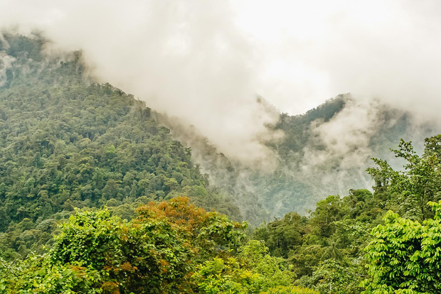 Quito: Private Tour durch den Nebelwald von Mindo mit Seilbahnfahrt