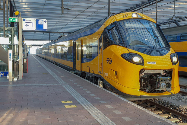 阿姆斯特丹：往返 Zaandijk Zaanse Schans 的火车接送服务