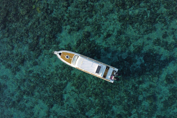 科莫多岛：快艇私人一日游