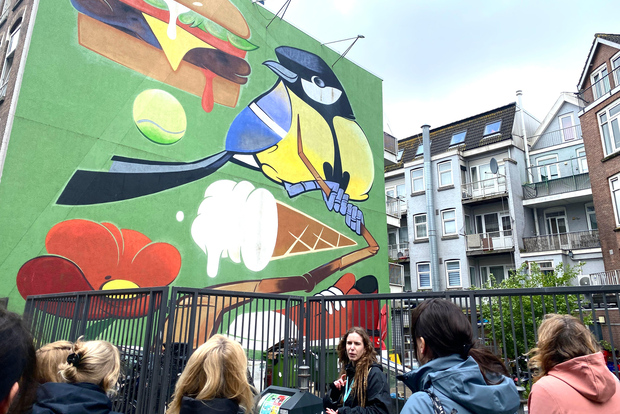 Tour della Street Art di Rotterdam: Include una guida specializzata
