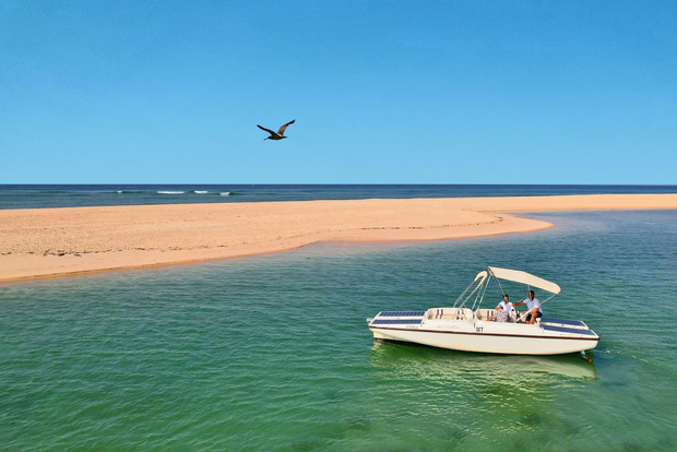 Faro: tour ecologico in barca per il birdwatching nella Ria Formosa