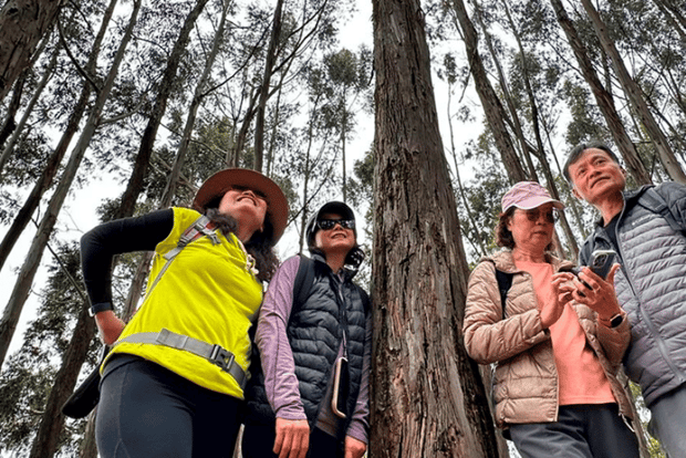 City Tour in Cusco Sacsayhuaman - SMALL GROUP