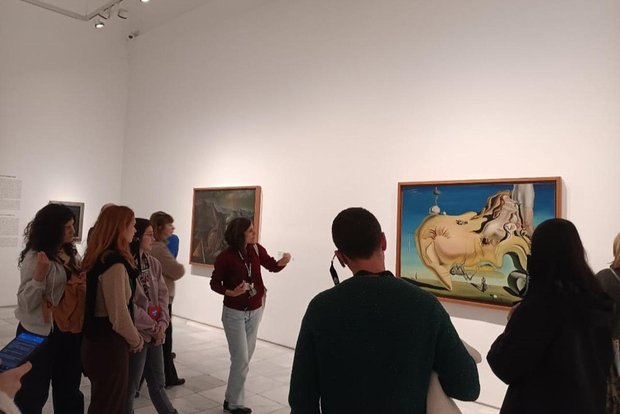Madrid : visite guidée en petit groupe du musée Reina Sofía