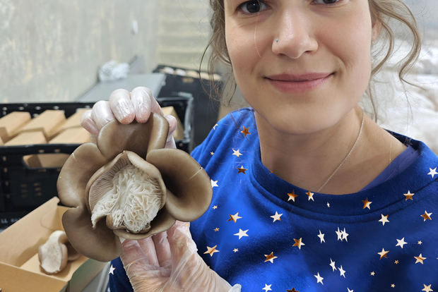 Zurich's best-kept secret: the hidden world of mushrooms!