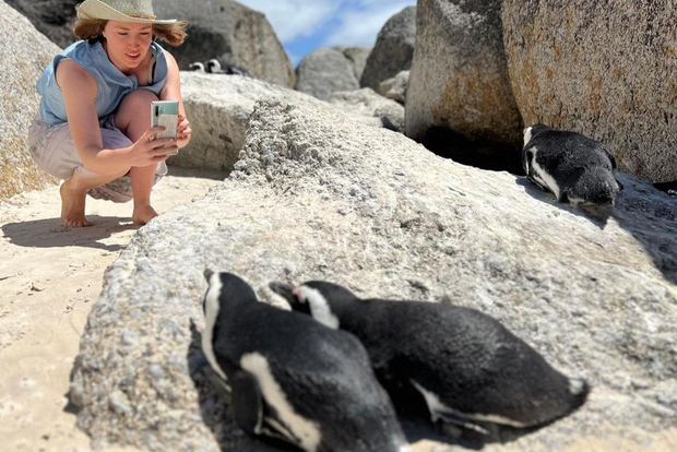 A Curious Adventure through Chapman’s Peak Drive: Cape Point