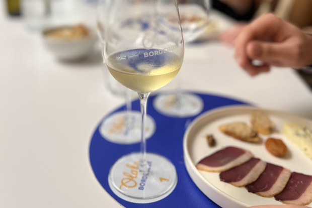 Workshop de degustação de vinhos de Bordéus com harmonização de pratos e vinhos