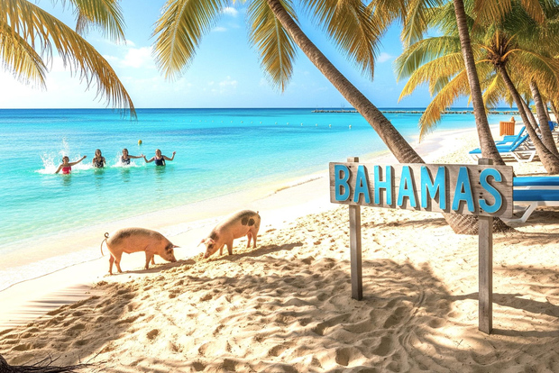 Miami/Ft Lauderdale: gita di 1 giorno a Bimini o Grand Bahama