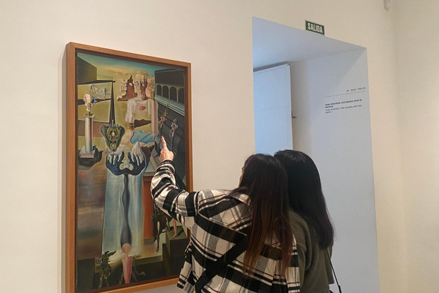 Madrid: Führung durch das Reina Sofía Museum, Kleingruppentour