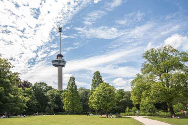 Rotterdam: Biglietto per la torre panoramica Euromast