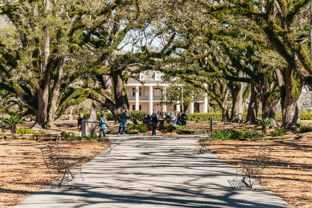 New Orleans: Tour combinato di Oak Alley Plantation e Airboat Swamp
