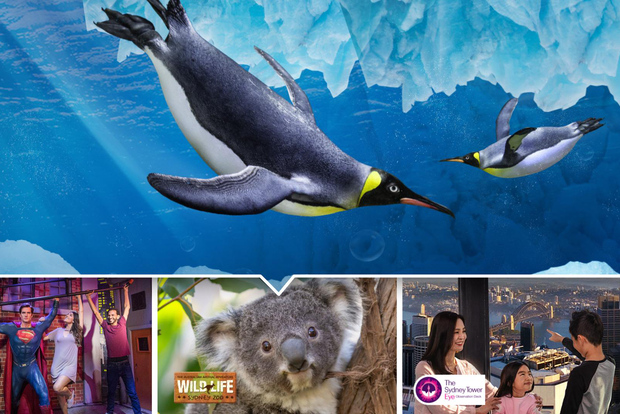 Sydney: Ultimate City Pass for 5 Attractions with Skywalk