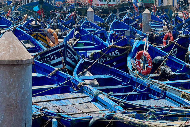 Da Marrakech: Escursione di un giorno a Essaouira con trasferimenti