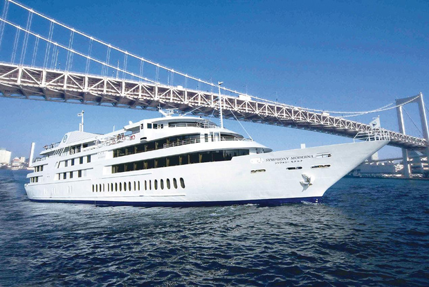 Tóquio: passeio de dia inteiro, experiência de chá, buffet de almoço e cruzeiro