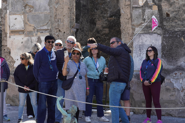 从罗马出发：索伦托和庞贝一日旅行（含导游或门票）