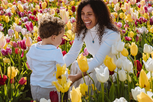 Lisse, Pays-Bas : séance photo professionnelle à Keukenhof