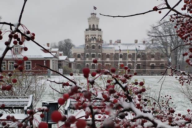 Riga: Privat tur till Sigulda, Turaida och Gauja nationalpark
