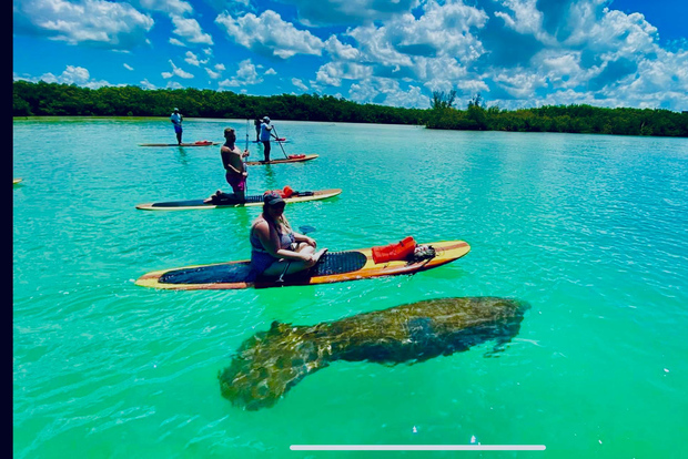 Naples, FL: Guided Standup Paddleboard or Kayak Tour