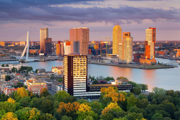 Il meglio di Rotterdam: Tour privato a piedi con un abitante del luogo