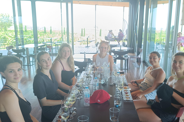 Salonicco: Visita alle cantine con degustazione di vini